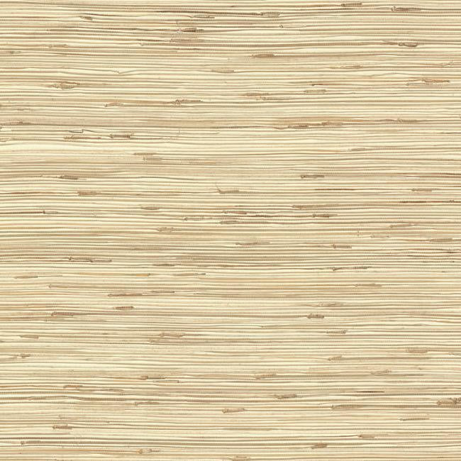 river-grass-wallpaper-wheat-beige-taupe-york-wallcoverings-nz0781