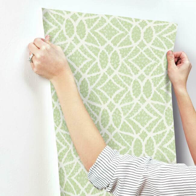 boxwood-garden-light-green-wallpaper-york-wallcoverings-gr5971 - York Wallcoverings Wallpaper