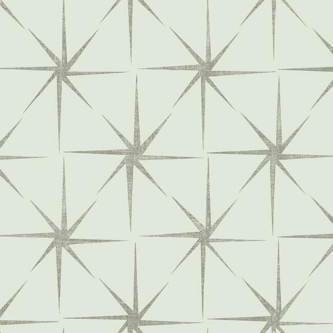 evening-star-wallpaper-silver-york-wallcoverings-gr5943