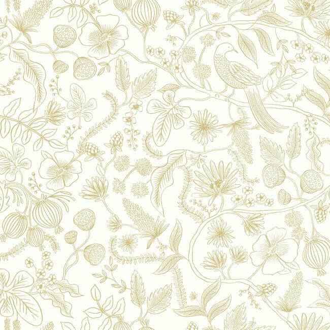 Aviary Off White & Gold Peel & Stick Wallpaper - York Wallcoverings - PSW1309RL - York Wallcoverings Wallpaper