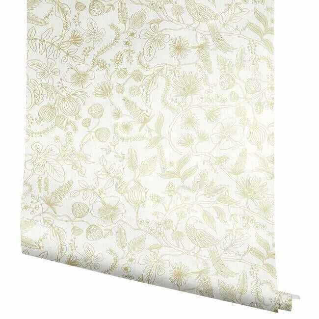 Aviary Off White & Gold Peel & Stick Wallpaper - York Wallcoverings - PSW1309RL - York Wallcoverings Wallpaper