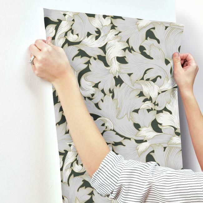 acanthus-toss-wallpaper-black-grey-york-wallcoverings-nv5510