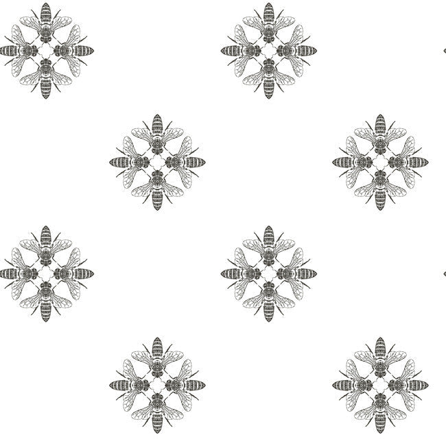 honey-bee-wallpaper-black-white-york-wallcoverings-on1643