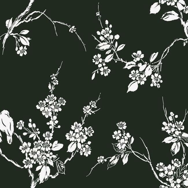 imperial-blossoms-branch-wallpaper-black-white-york-wallcoverings-ss2589