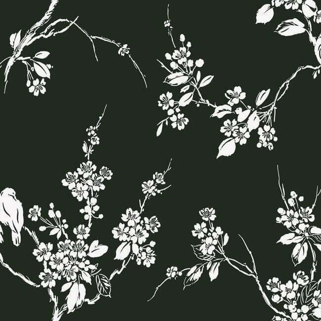 imperial-blossoms-branch-black-white-wallpaper-york-wallcoverings-ss2589 - York Wallcoverings Wallpaper