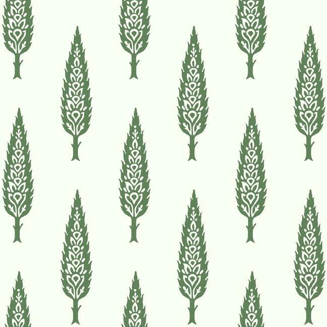 juniper-tree-wallpaper-green-york-wallcoverings-ss2604