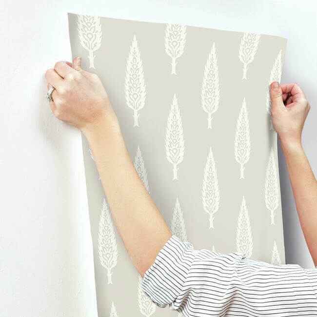 Juniper Tree Taupe Wallpaper - York Wallcoverings - SS2606 - York Wallcoverings Wallpaper