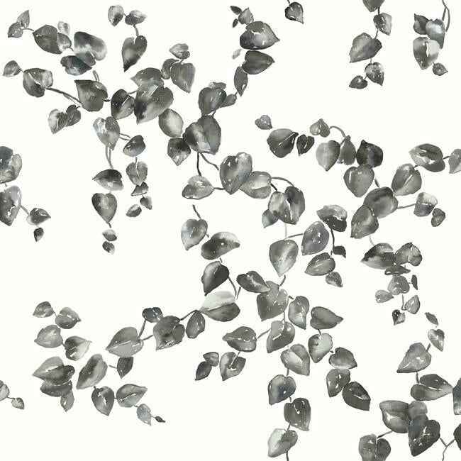 Creeping Fig Vine Black & White Wallpaper - York Wallcoverings - FH4038