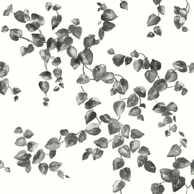 creeping-fig-vine-wallpaper-black-white-york-wallcoverings-fh4038