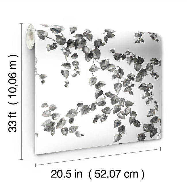 creeping-fig-vine-wallpaper-black-white-york-wallcoverings-fh4038