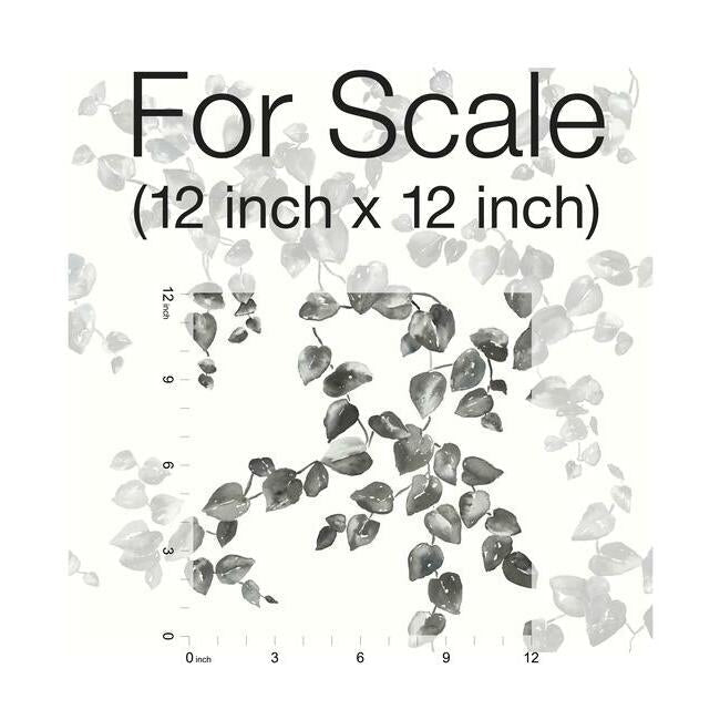 creeping-fig-vine-wallpaper-black-white-york-wallcoverings-fh4038