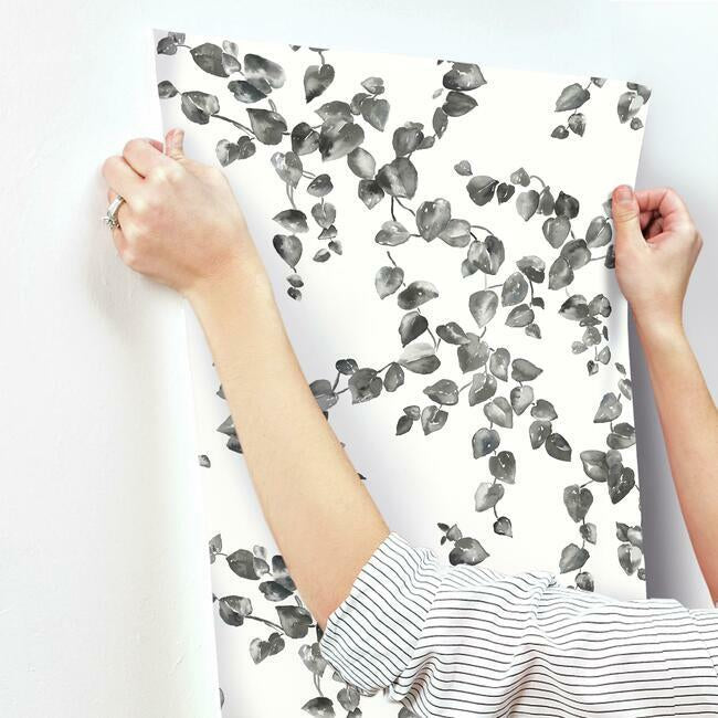 creeping-fig-vine-wallpaper-black-white-york-wallcoverings-fh4038