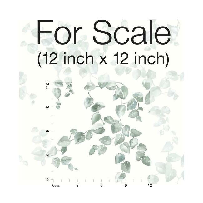 creeping-fig-vine-wallpaper-sage-york-wallcoverings-fh4037