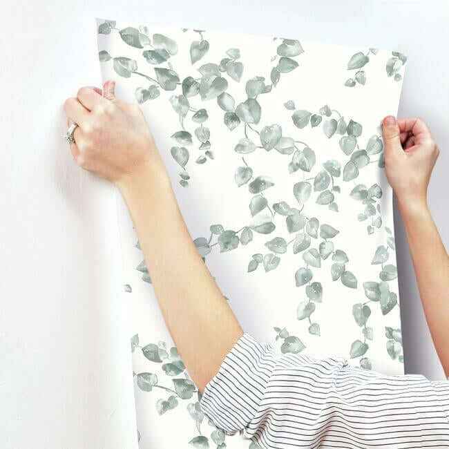 Creeping Fig Vine Sage Wallpaper - York Wallcoverings - FH4037 - York Wallcoverings Wallpaper