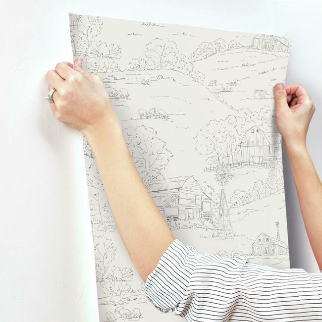 pasture-toile-wallpaper-taupe-charcoal-york-wallcoverings-fh4033