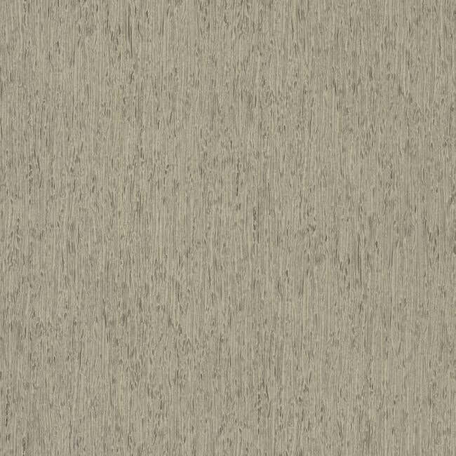 rugged-bark-grey-wallpaper-york-wallcoverings-fh4093
