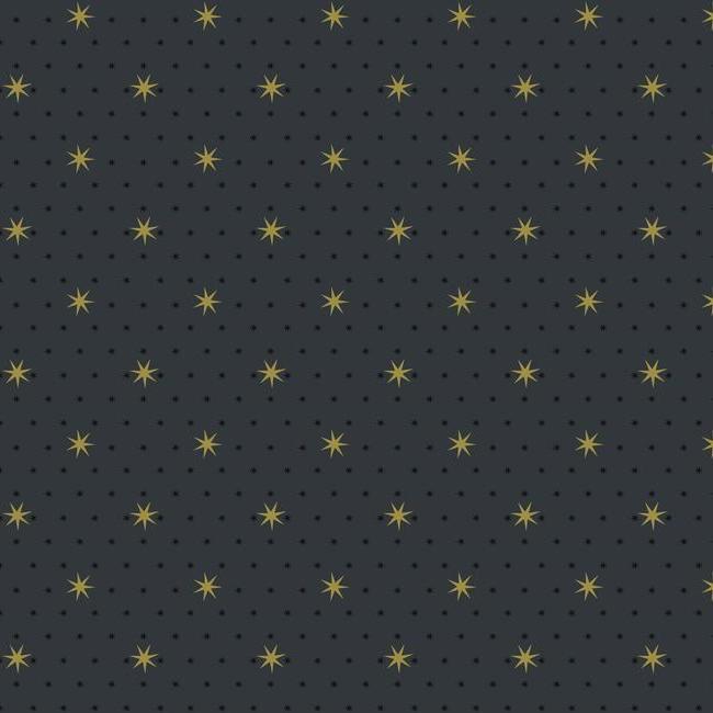 stella-star-wallpaper-midnight-york-wallcoverings-sp1499