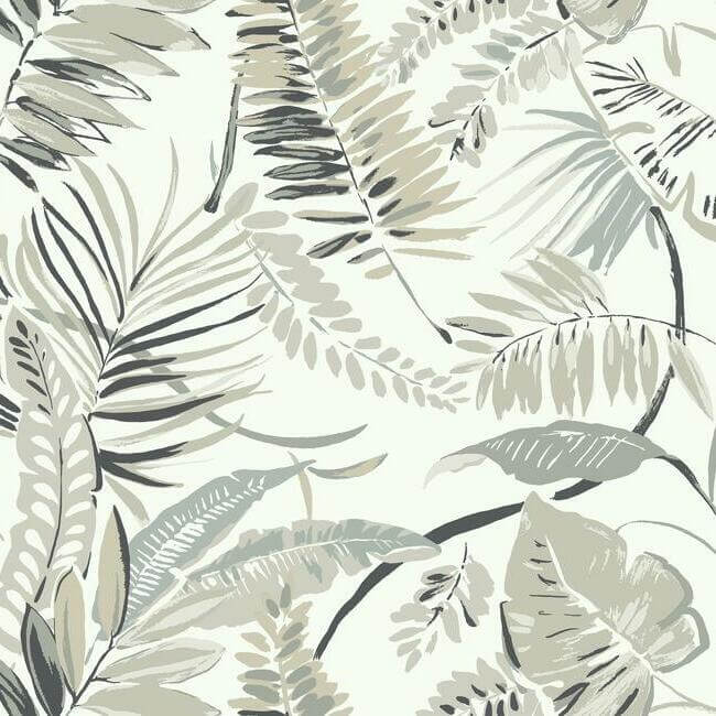 tropical-toss-white-wallpaper-york-wallcoverings-tc2622 - York Wallcoverings Wallpaper