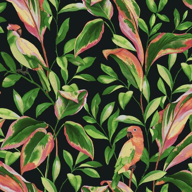 tropical-love-birds-wallpaper-black-york-wallcoverings-tc2651