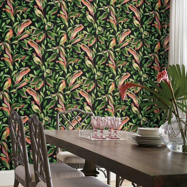 tropical-love-birds-wallpaper-black-york-wallcoverings-tc2651