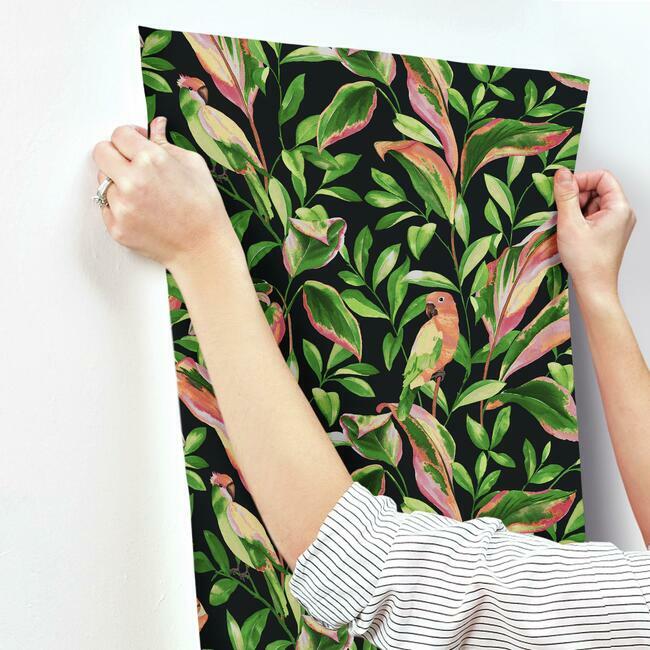 tropical-love-birds-wallpaper-black-york-wallcoverings-tc2651