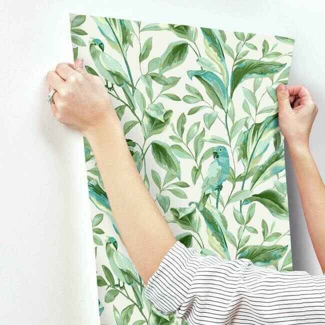 Tropical Love Birds White & Aqua Wallpaper - York Wallcoverings - TC2654 - York Wallcoverings Wallpaper