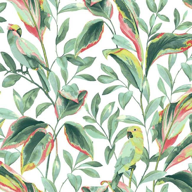 tropical-love-birds-wallpaper-white-coral-york-wallcoverings-tc2653