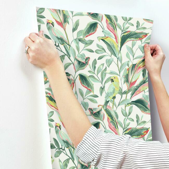 tropical-love-birds-wallpaper-white-coral-york-wallcoverings-tc2653