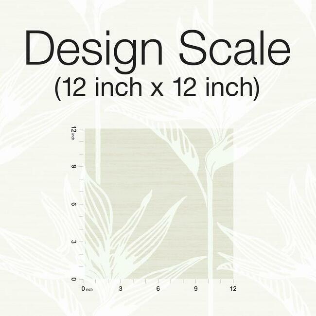 bird-of-paradise-wallpaper-white-york-wallcoverings-tc2672