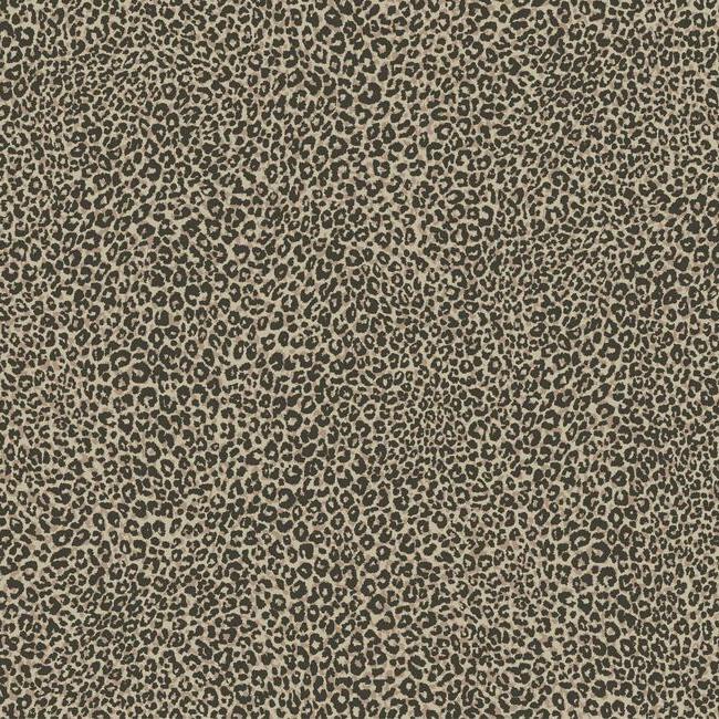 leopard-king-wallpaper-brown-york-wallcoverings-tc2684