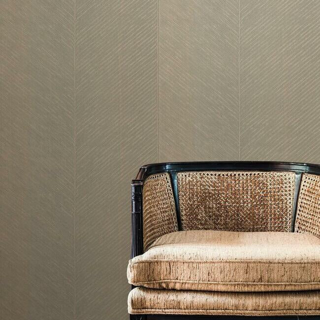palm-chevron-wallpaper-dark-taupe-gold-york-wallcoverings-tc2699