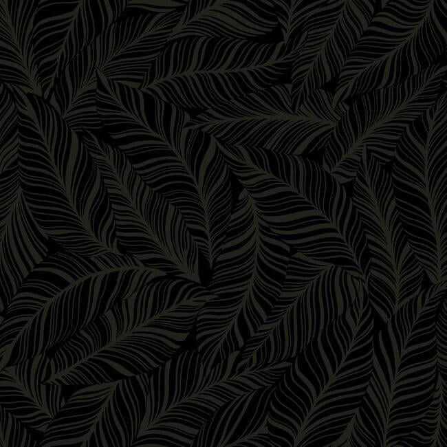 rainforest-canopy-wallpaper-black-york-wallcoverings-tc2712