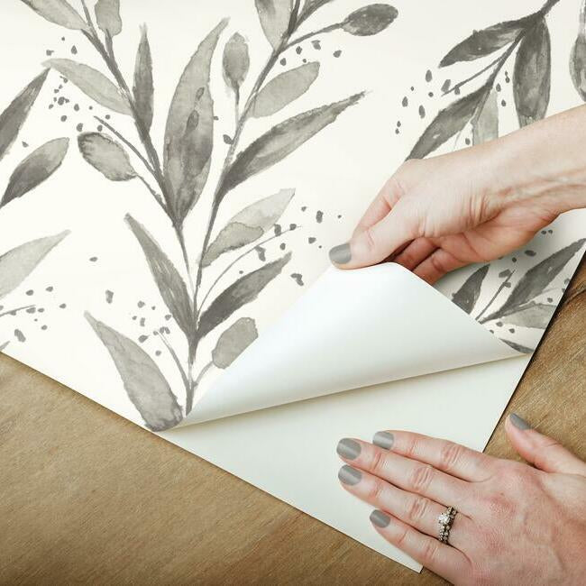 olive-branch-premium-peel-stick-wallpaper-charcoal-york-wallcoverings-psw1003rl