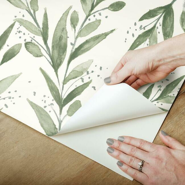 olive-branch-premium-peel-stick-wallpaper-olive-grove-york-wallcoverings-psw1001rl
