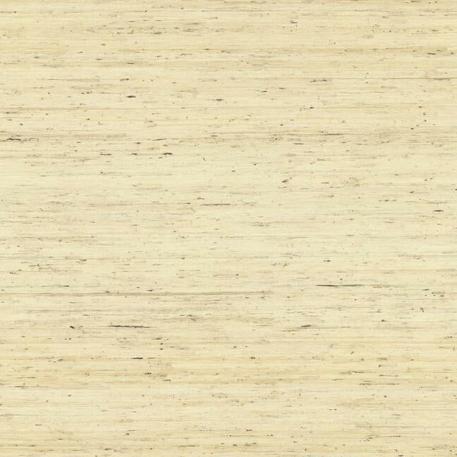 arrowroot-wallpaper-cream-york-wallcoverings-cp9345