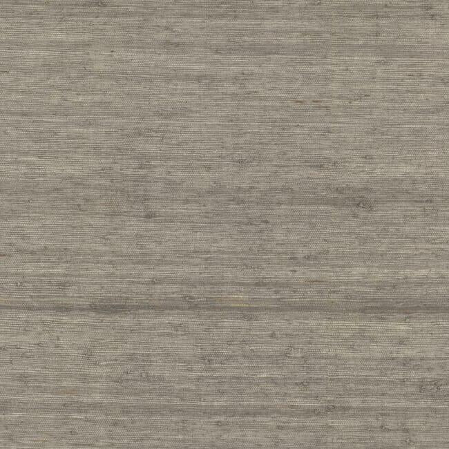 arrowroot-wallpaper-driftwood-york-wallcoverings-cv4403