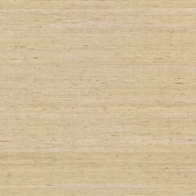 arrowroot-wallpaper-sand-york-wallcoverings-cv4401