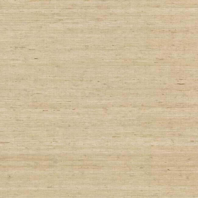 arrowroot-cream-wallpaper-york-wallcoverings-cv4401