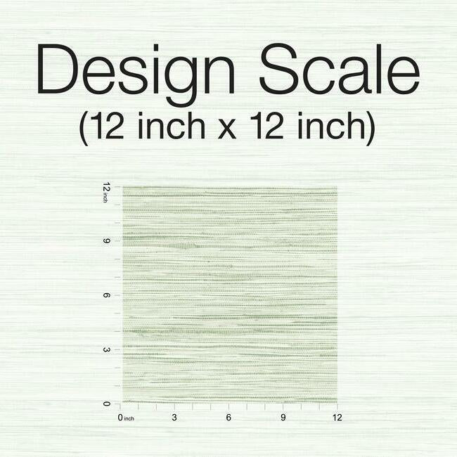 bahiagrass-wallpaper-fern-york-wallcoverings-cv4413
