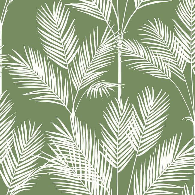 king-palm-silhouette-green-wallpaper-york-wallcoverings-cv4411 - York Wallcoverings Wallpaper