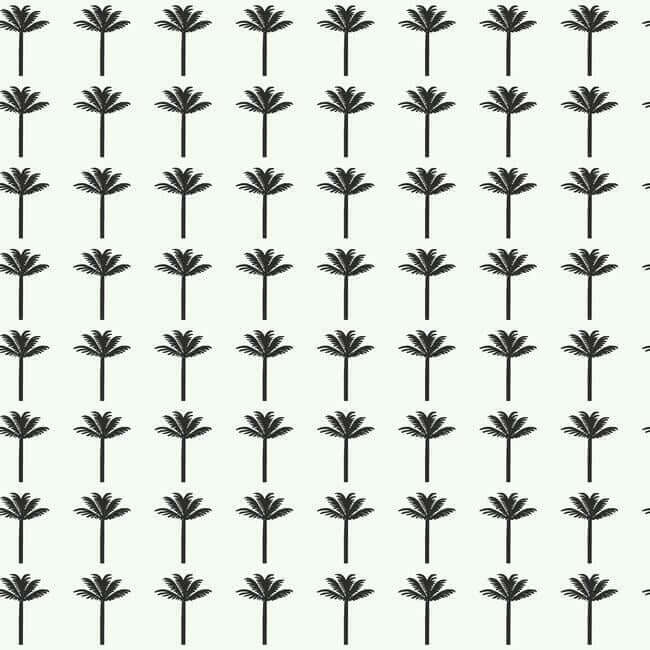 palm-bay-black-wallpaper-york-wallcoverings-cv4417 - York Wallcoverings Wallpaper