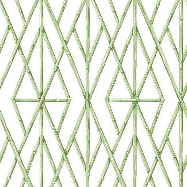 Riviera Bamboo Trellis Green Wallpaper - York Wallcoverings - CV4451 - York Wallcoverings Wallpaper
