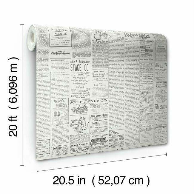 the-daily-premium-peel-stick-wallpaper-black-white-york-wallcoverings-psw1168rl