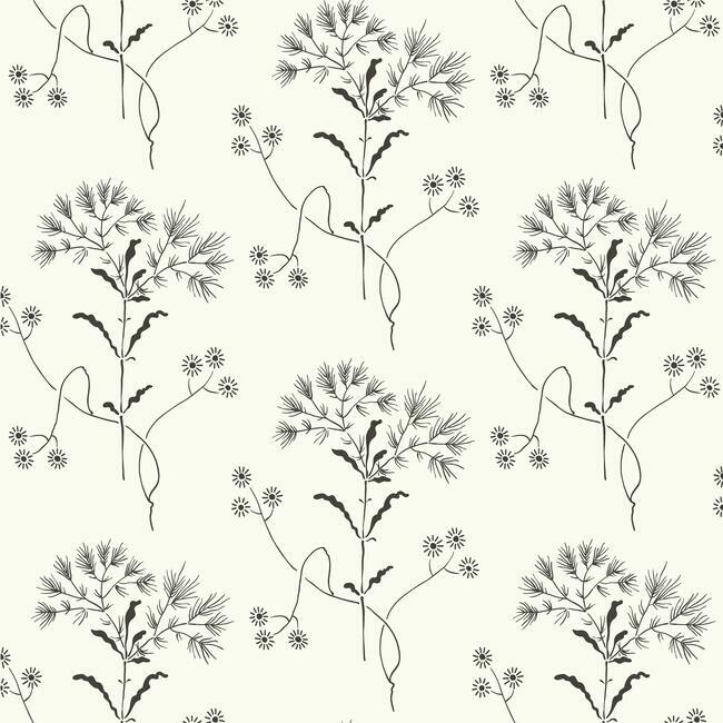 wildflower-premium-peel-stick-wallpaper-black-on-white-york-wallcoverings-psw1153rl