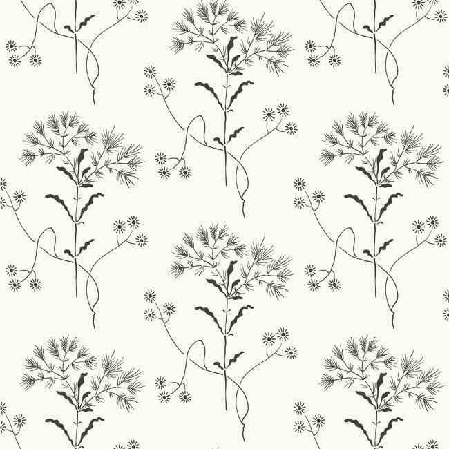 Magnolia Home Wildflower Black & White Peel & Stick Wallpaper - York Wallcoverings - PSW1153RL - York Wallcoverings Wallpaper