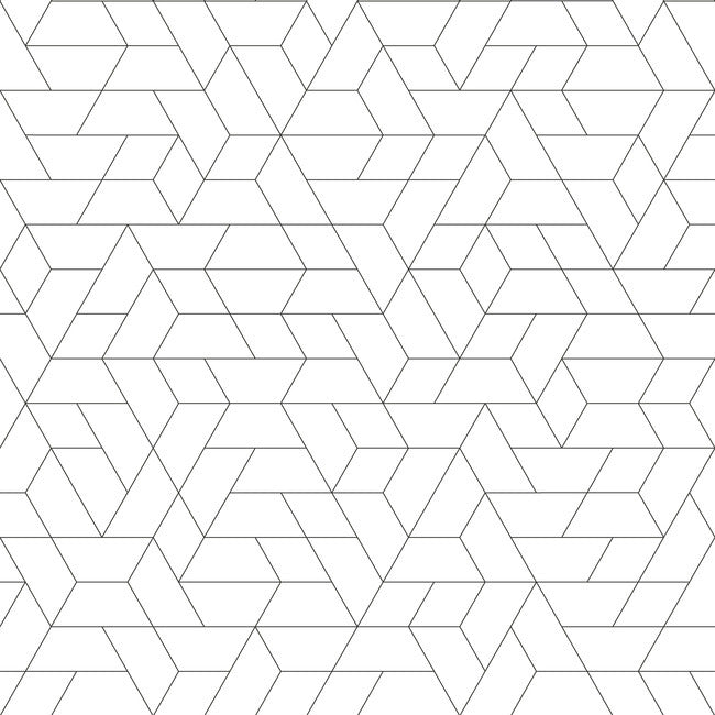 point-of-view-wallpaper-black-york-wallcoverings-sw7457