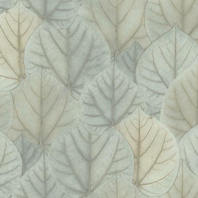leaf-concerto-wallpaper-blue-taupe-york-wallcoverings-os4244