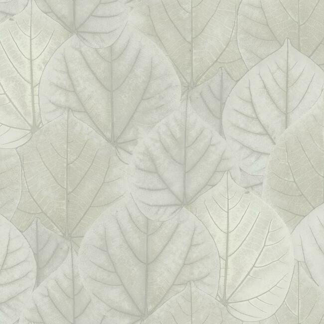leaf-concerto-wallpaper-pale-grey-york-wallcoverings-os4246