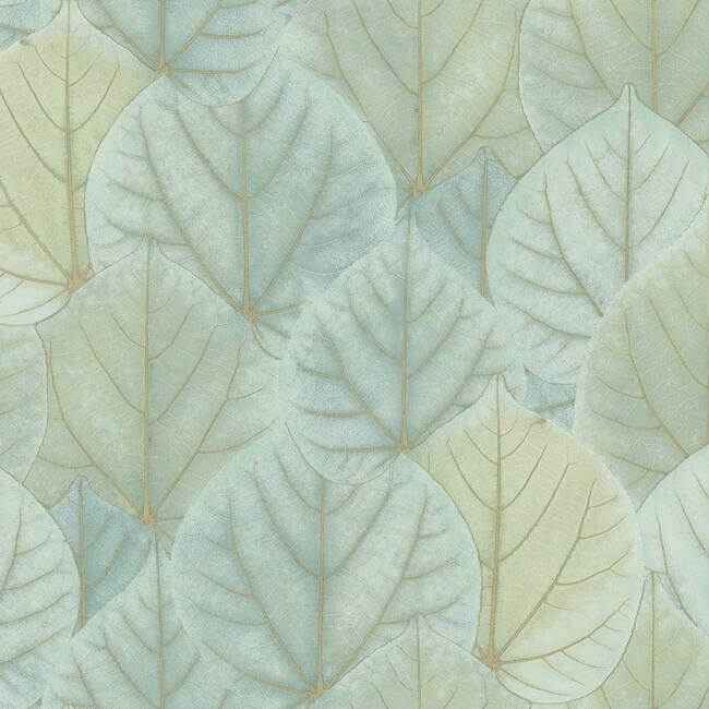 Leaf Concerto Turquoise Wallpaper - York Wallcoverings - OS4241 - York Wallcoverings Wallpaper