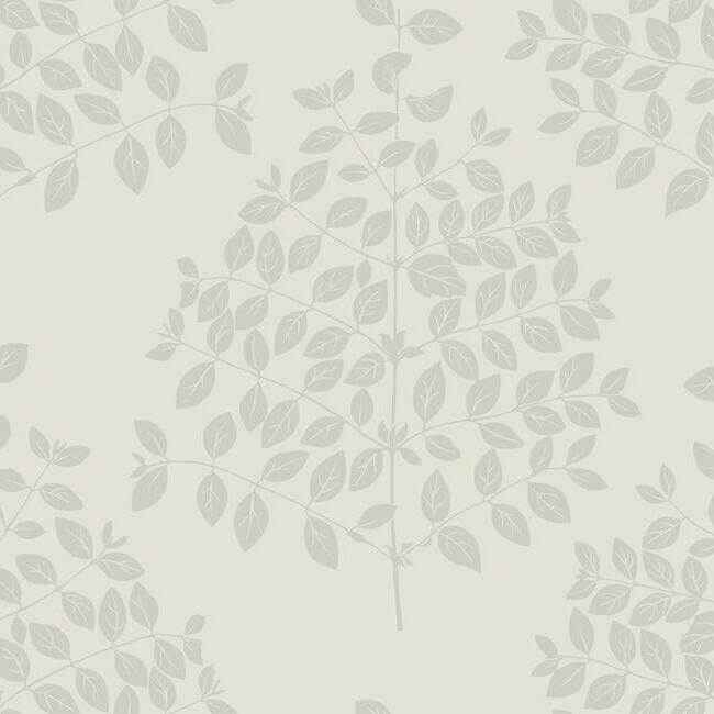 Tender Cream & Silver Wallpaper - York Wallcoverings - OS4251 - York Wallcoverings Wallpaper